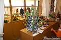 VBS_2023 - Inaugurazione Messer Tulipano 2025